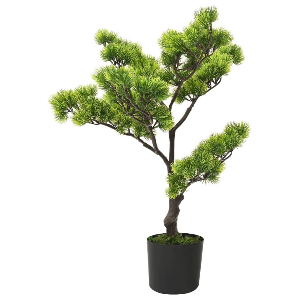 Dirbtinis pinus bonsai medelis su vazonu