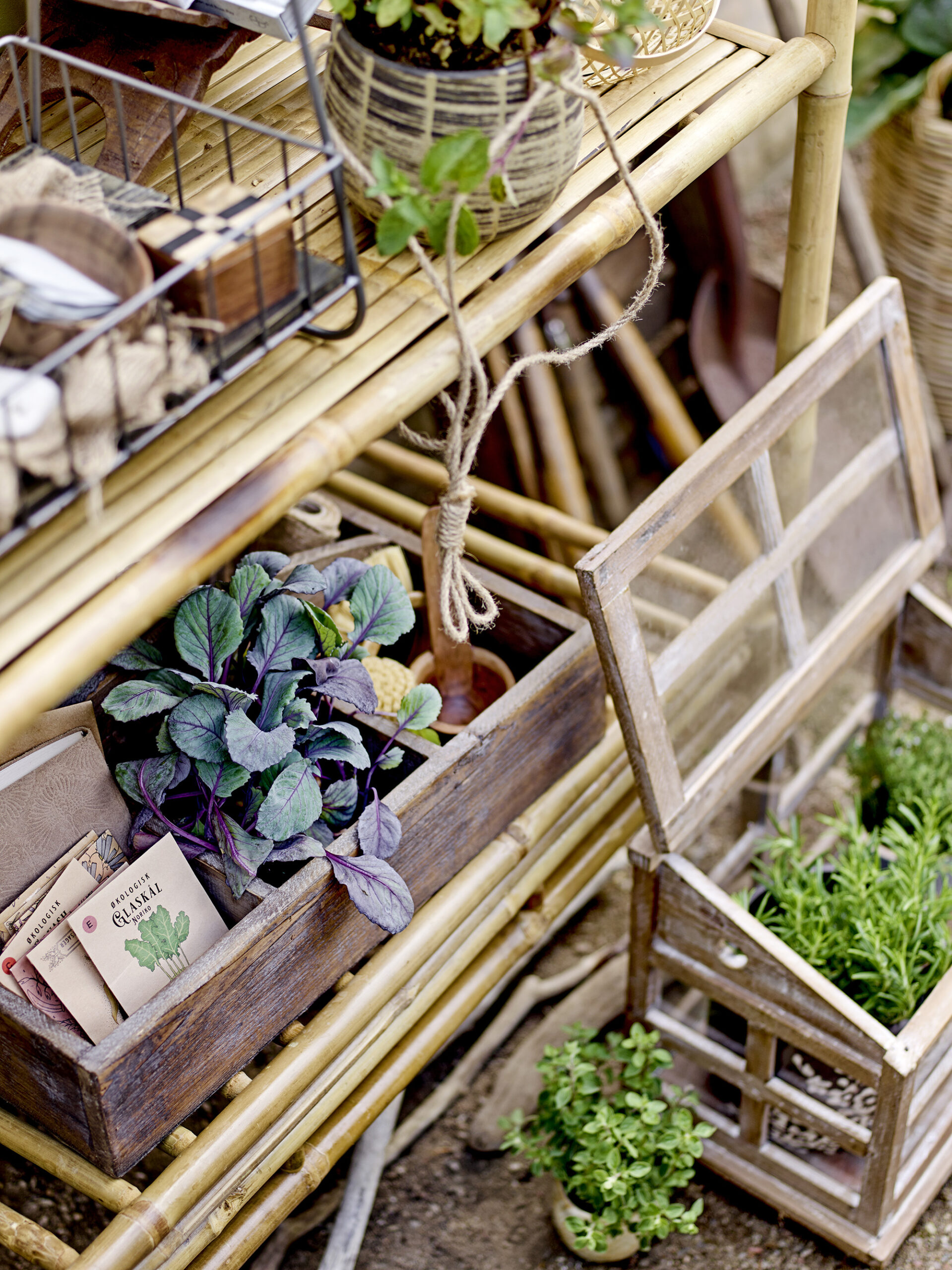 Takar Sandėliavimo dėžė, Rudos spalvos, Eglės mediena - GRANDE Takar Sandėliavimo dėžė, Rudos spalvos, Eglės mediena - GRANDE