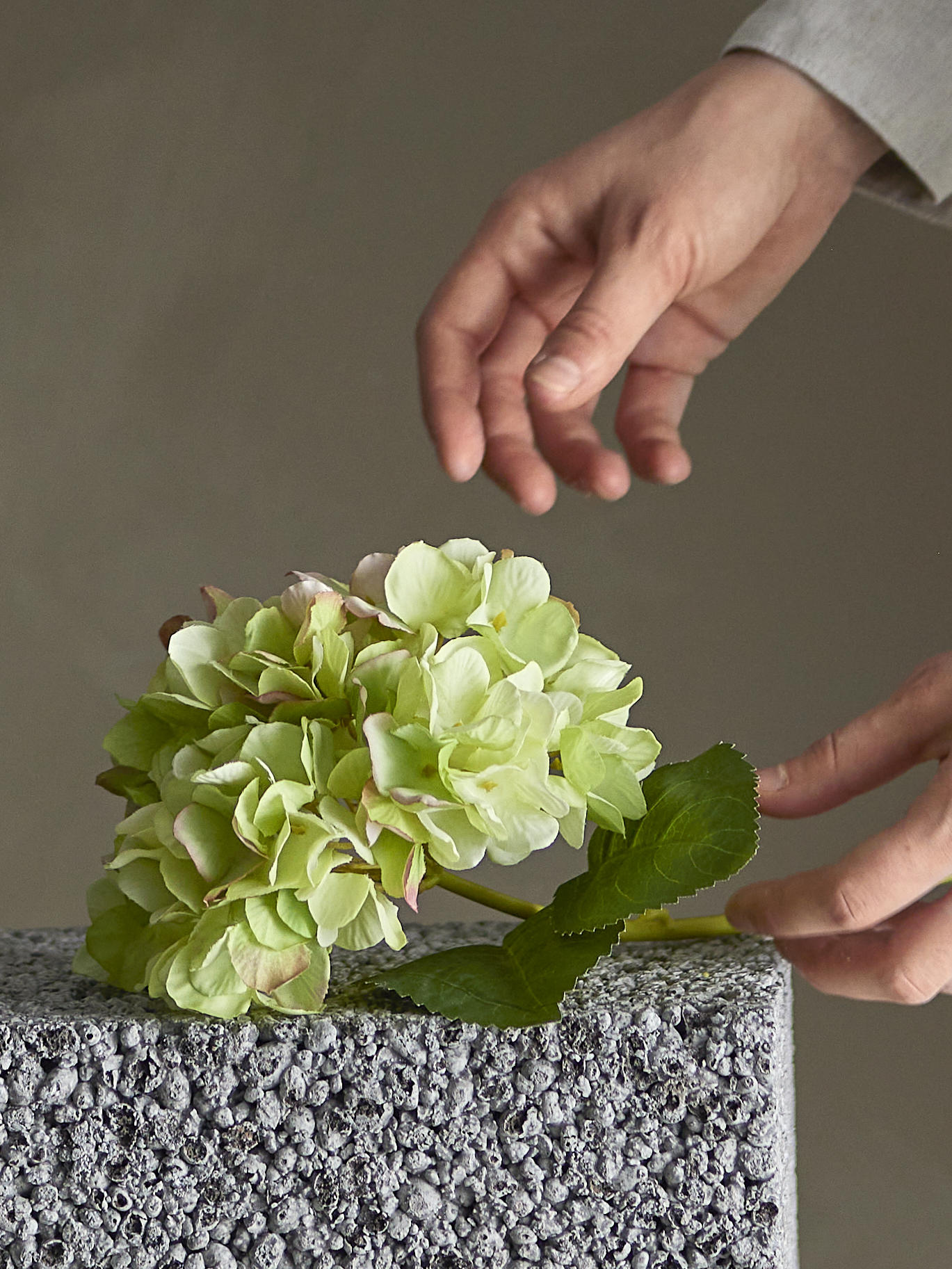 uai6ef0akzl6imytmzyo Hydrangea Šakelė, Balta, Dirbtinės gėlės - Image 2
