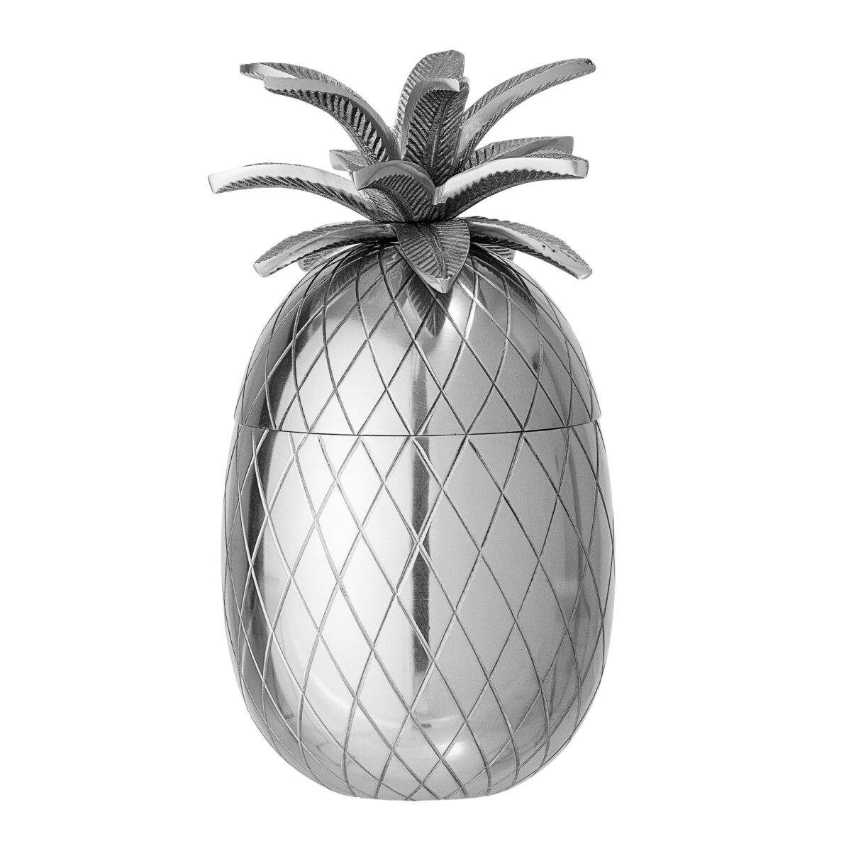 Yuichi Indelis ledui, Sidabro, Aliuminis  1000 ml - Image 5